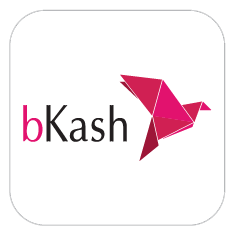 bKash Icon